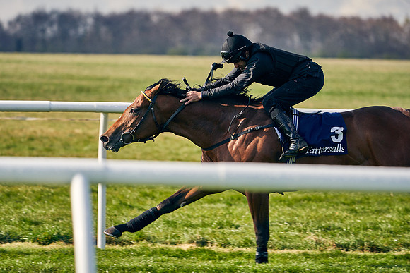 2021-04-12-Dominic-James-Craven-Breeze-Up-Sales-0010