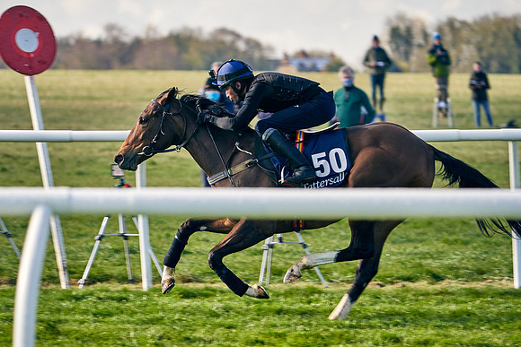 2021-04-12-Dominic-James-Craven-Breeze-Up-Sales-0050