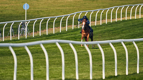 2021-04-12-Dominic-James-Craven-Breeze-Up-Sales-0054