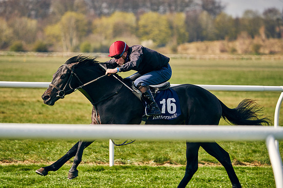 2021-04-12-Dominic-James-Craven-Breeze-Up-Sales-0166