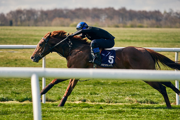 2021-04-12-Dominic-James-Craven-Breeze-Up-Sales-0101