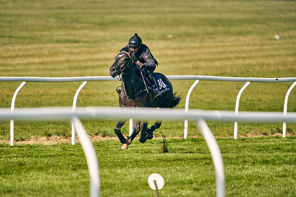 2021-04-12-Dominic-James-Craven-Breeze-Up-Sales-0170