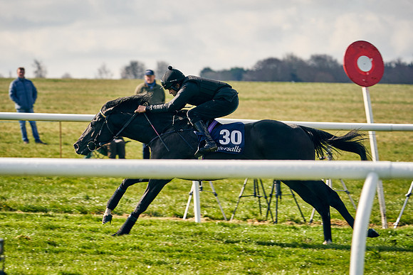 2021-04-12-Dominic-James-Craven-Breeze-Up-Sales-0180