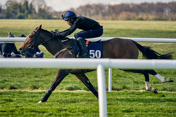 2021-04-12-Dominic-James-Craven-Breeze-Up-Sales-0049