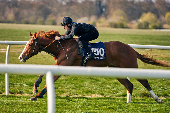 2021-04-12-Dominic-James-Craven-Breeze-Up-Sales-0022