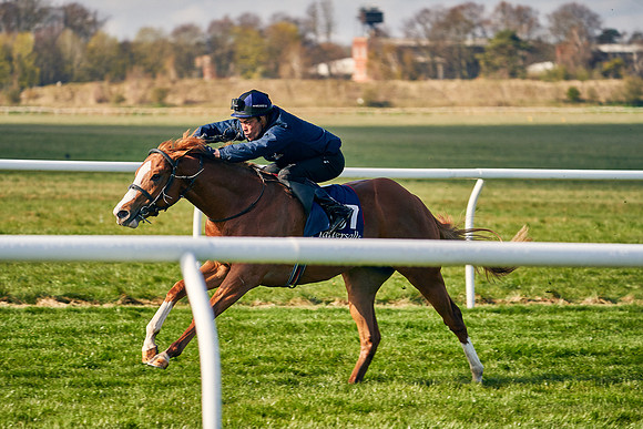 2021-04-12-Dominic-James-Craven-Breeze-Up-Sales-0059