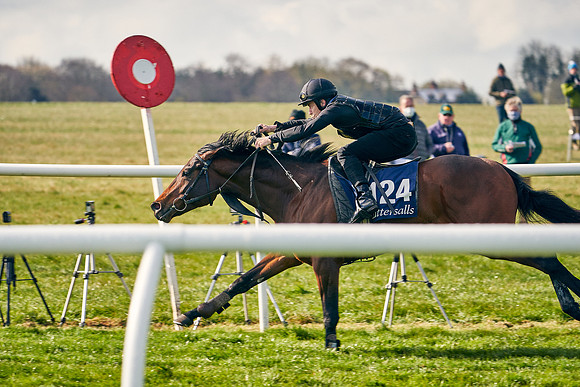 2021-04-12-Dominic-James-Craven-Breeze-Up-Sales-0144