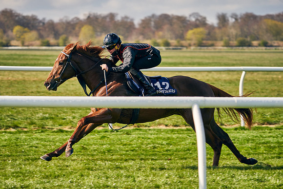 2021-04-12-Dominic-James-Craven-Breeze-Up-Sales-0085