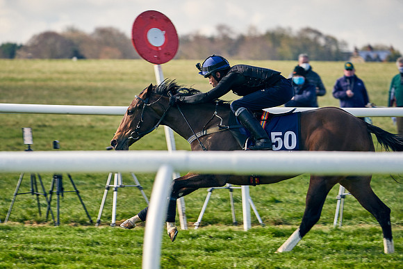 2021-04-12-Dominic-James-Craven-Breeze-Up-Sales-0051
