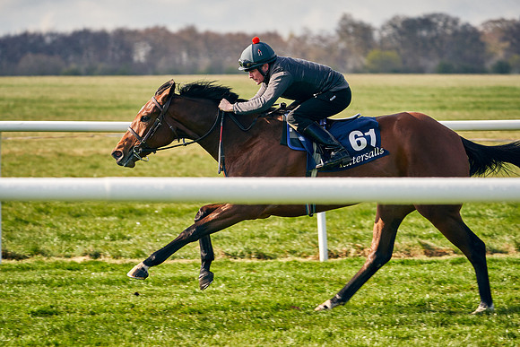 2021-04-12-Dominic-James-Craven-Breeze-Up-Sales-0161