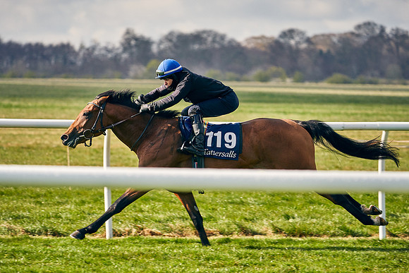 2021-04-12-Dominic-James-Craven-Breeze-Up-Sales-0185