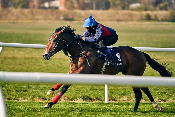2021-04-12-Dominic-James-Craven-Breeze-Up-Sales-0025