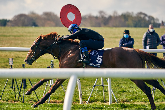 2021-04-12-Dominic-James-Craven-Breeze-Up-Sales-0103
