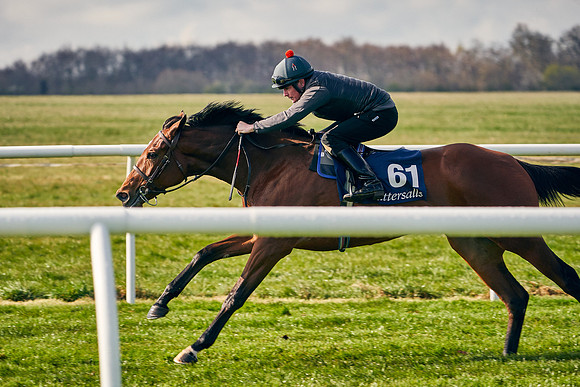 2021-04-12-Dominic-James-Craven-Breeze-Up-Sales-0162