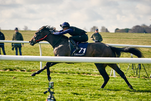 2021-04-12-Dominic-James-Craven-Breeze-Up-Sales-0132
