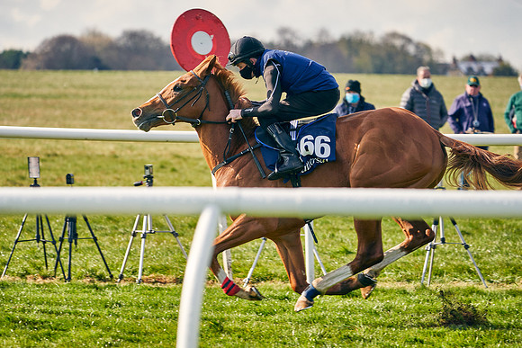 2021-04-12-Dominic-James-Craven-Breeze-Up-Sales-0115