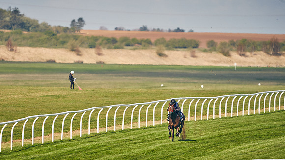 2021-04-12-Dominic-James-Craven-Breeze-Up-Sales-0011