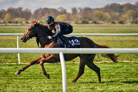 2021-04-12-Dominic-James-Craven-Breeze-Up-Sales-0084