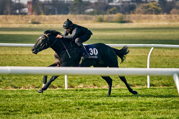 2021-04-12-Dominic-James-Craven-Breeze-Up-Sales-0172