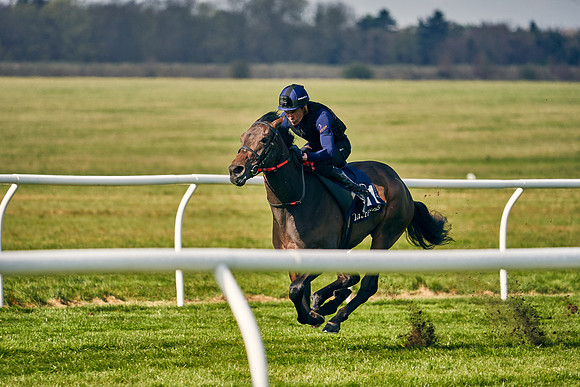 2021-04-12-Dominic-James-Craven-Breeze-Up-Sales-0122