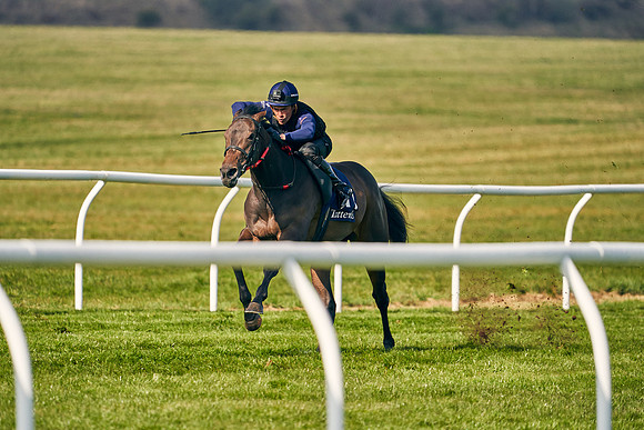2021-04-12-Dominic-James-Craven-Breeze-Up-Sales-0119