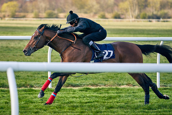 2021-04-12-Dominic-James-Craven-Breeze-Up-Sales-0072