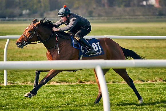 2021-04-12-Dominic-James-Craven-Breeze-Up-Sales-0160
