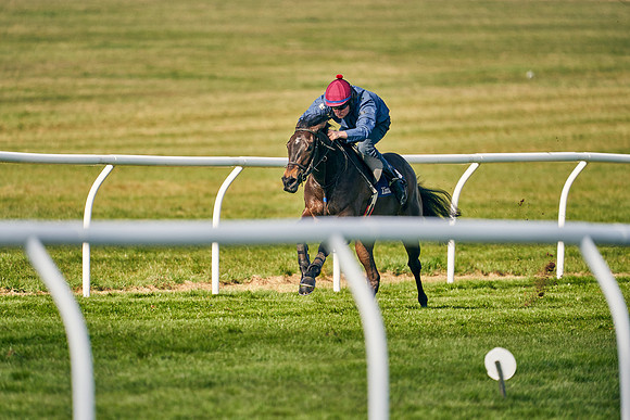 2021-04-12-Dominic-James-Craven-Breeze-Up-Sales-0149