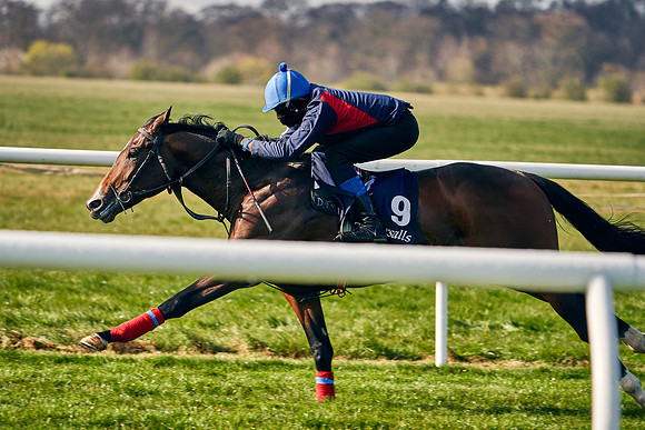 2021-04-12-Dominic-James-Craven-Breeze-Up-Sales-0028