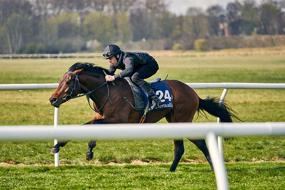 2021-04-12-Dominic-James-Craven-Breeze-Up-Sales-0138
