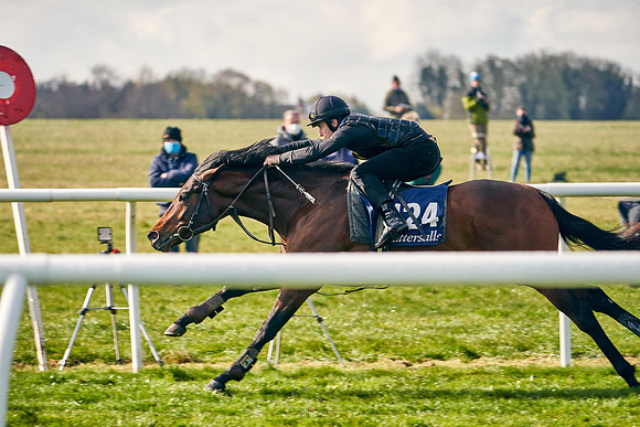 2021-04-12-Dominic-James-Craven-Breeze-Up-Sales-0143