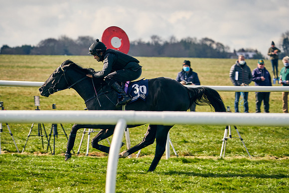 2021-04-12-Dominic-James-Craven-Breeze-Up-Sales-0178