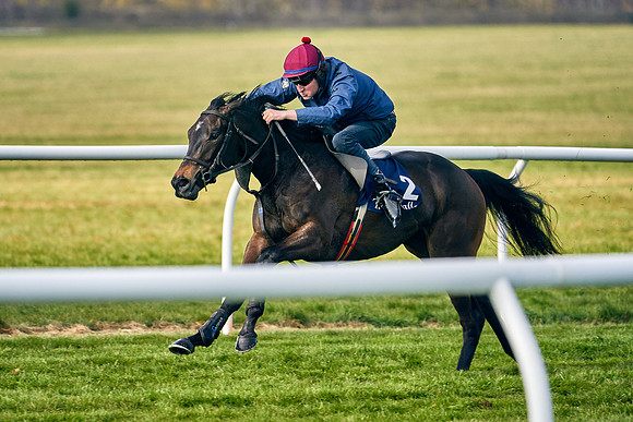 2021-04-12-Dominic-James-Craven-Breeze-Up-Sales-0150