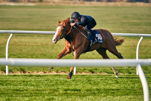 2021-04-12-Dominic-James-Craven-Breeze-Up-Sales-0019