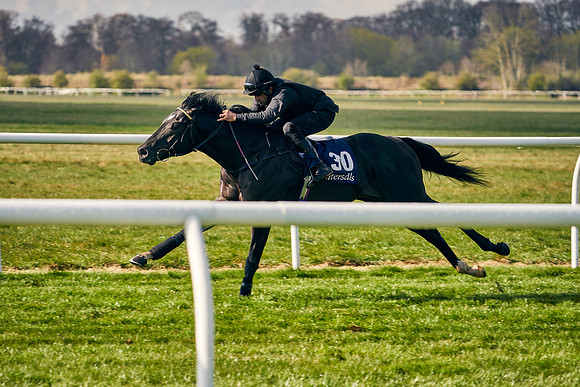 2021-04-12-Dominic-James-Craven-Breeze-Up-Sales-0174