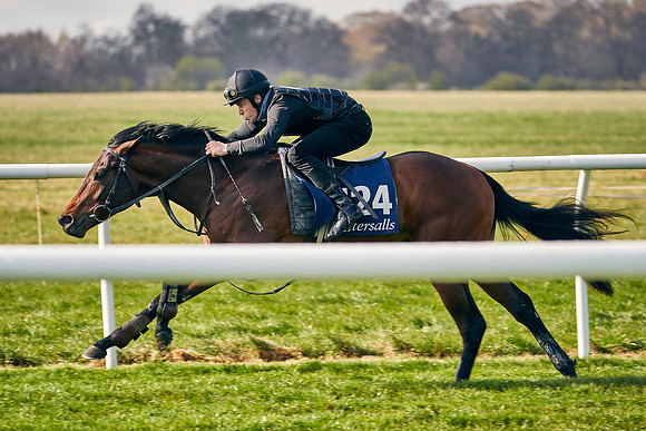 2021-04-12-Dominic-James-Craven-Breeze-Up-Sales-0140