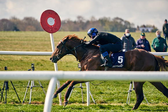 2021-04-12-Dominic-James-Craven-Breeze-Up-Sales-0102
