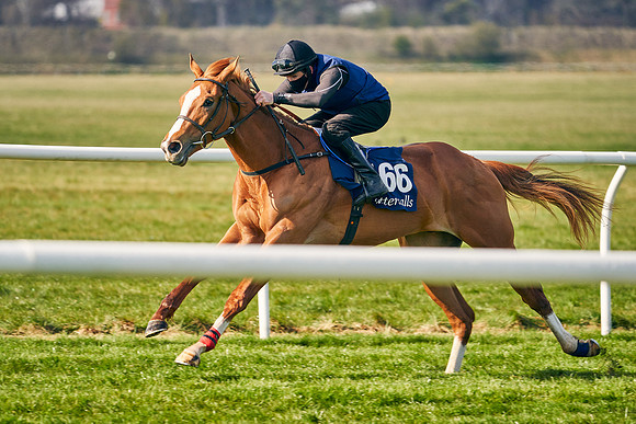 2021-04-12-Dominic-James-Craven-Breeze-Up-Sales-0112