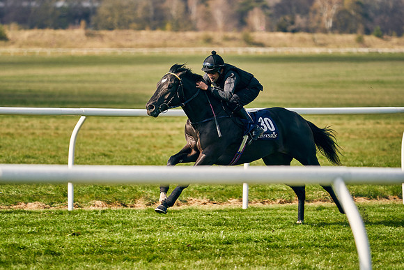 2021-04-12-Dominic-James-Craven-Breeze-Up-Sales-0171
