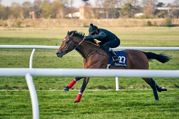2021-04-12-Dominic-James-Craven-Breeze-Up-Sales-0071