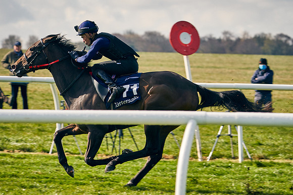 2021-04-12-Dominic-James-Craven-Breeze-Up-Sales-0130