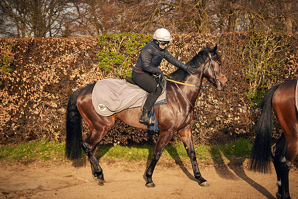 2021-03-24-Dominic-James-3222