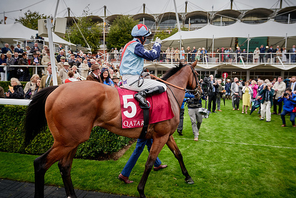 QGF2019_DominicJames-01739