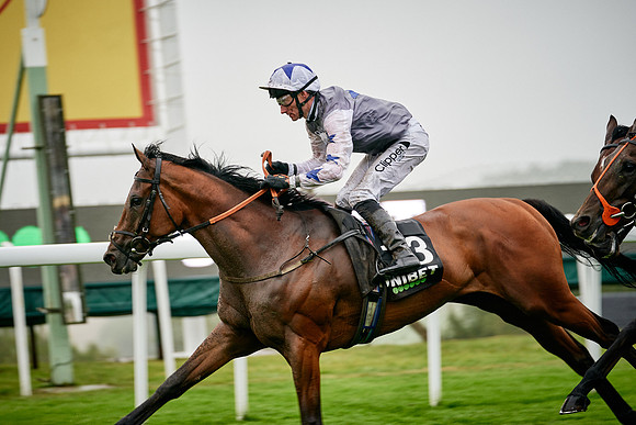 QGF2019_DominicJames-00208