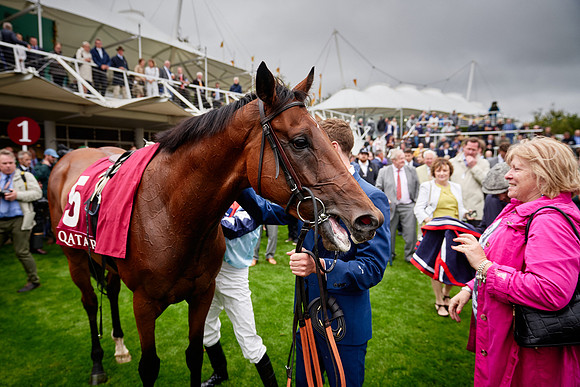 QGF2019_DominicJames-01753