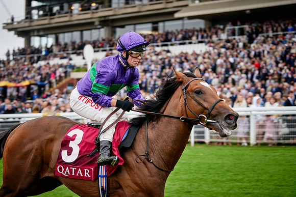 QGF2019_DominicJames-00466