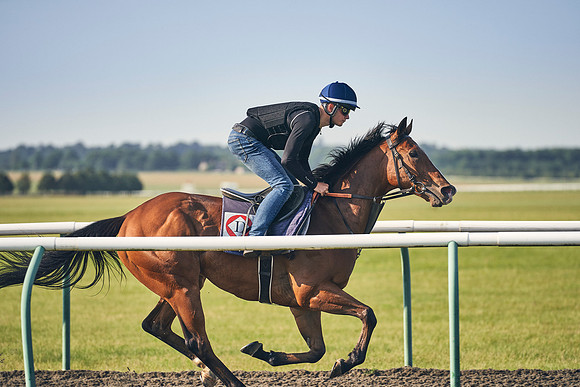 24th-June-Dominic-James-2106
