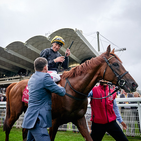 QGF2019_DominicJames-01060