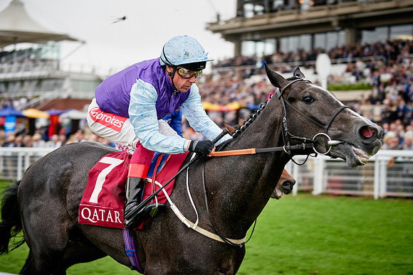 QGF2019_DominicJames-00463