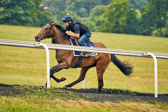 2022-07-01-Dominic-James-2664